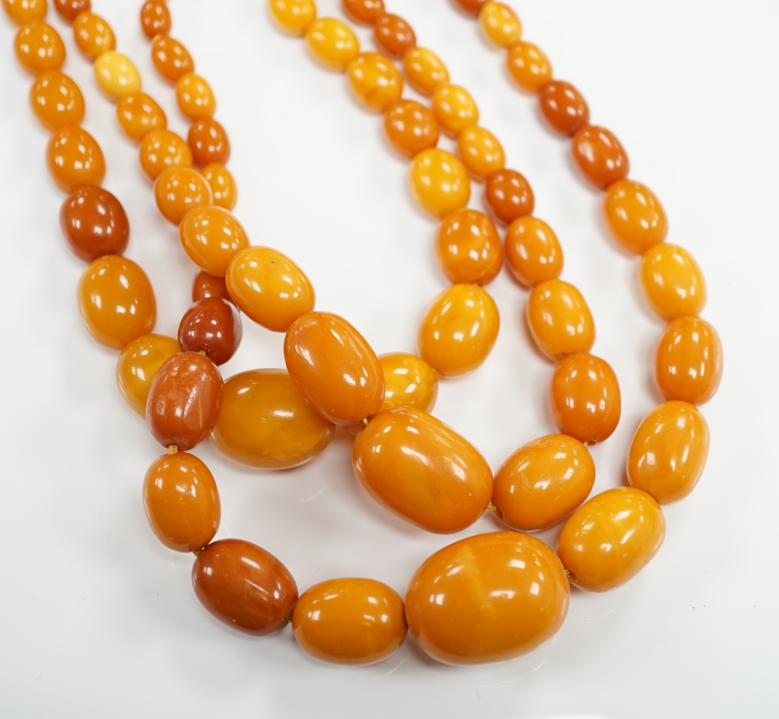 A triple strand graduated oval amber bead choker necklace, 44cm, gross weight 98 grams.